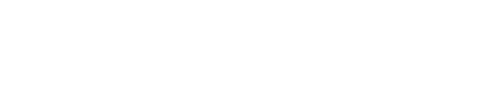DLR logo